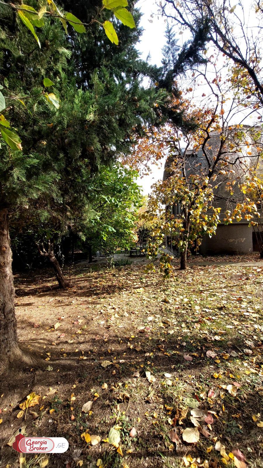 იყიდება ახალი გარემონტებული 5 ოთახიანი სახლი წეროვანში